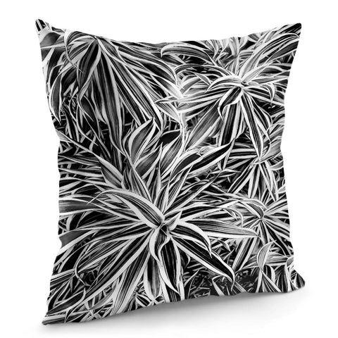 Image of Black And White Tropical Print Pillow Cover