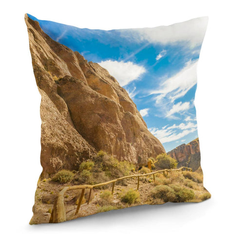 Image of Cueva De Las Manos, Patagonia Argentina Pillow Cover