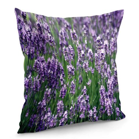 Image of Photo Fleurs Violet Pillow Cover