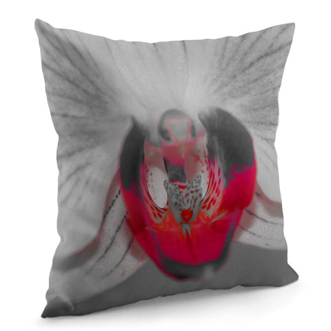 Image of Orchidée Fleur Pillow Cover