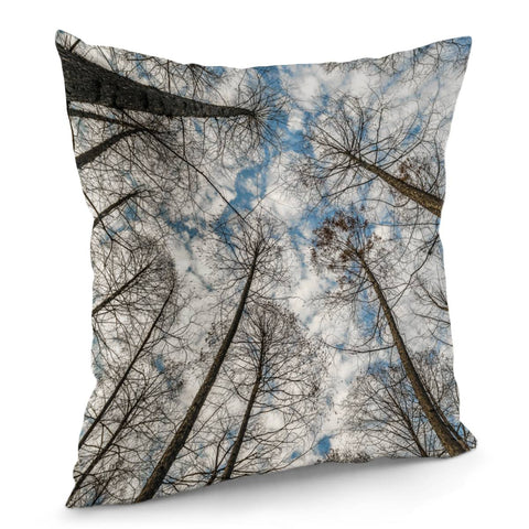 Image of Low Angle Big Trees, West Lake, Hangzhou, China Pillow Cover