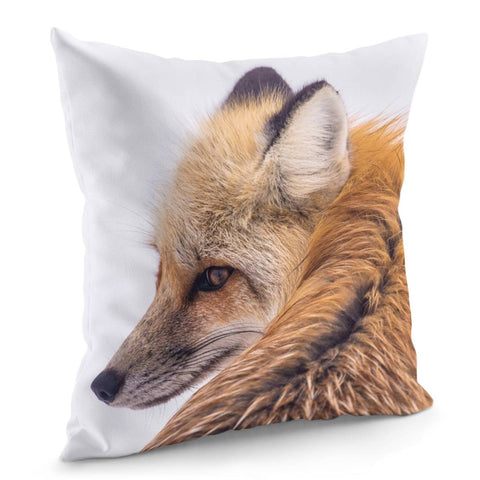 Image of Red Fox Pillow Cover