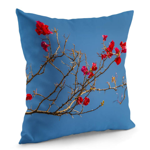 Image of Santa Rita Flower Pillow Cover