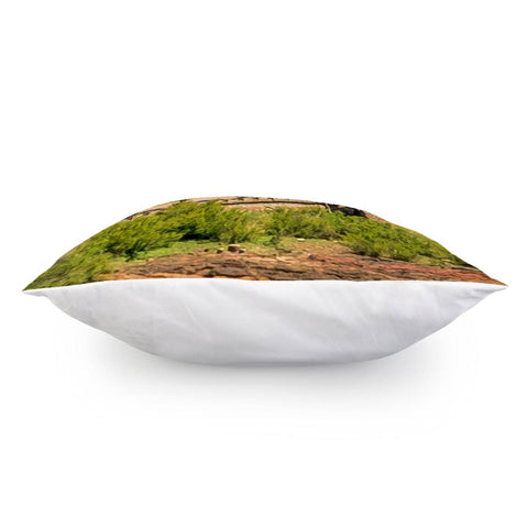 Image of Punta Colorada Aerial Landscape Scene, Uruguay Pillow Cover