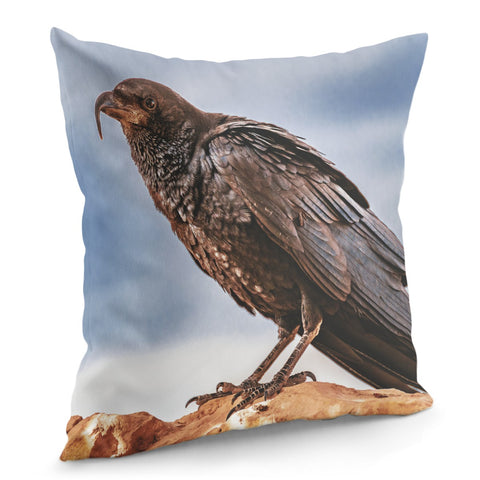 Image of Black Crow Standing At Rock Pillow Cover