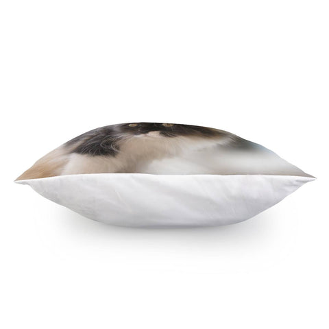 Image of Nano Baby Kitten Pillow Cover