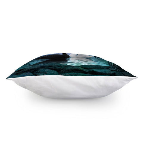 Image of Wonderful Whie And Black Swan Pillow Cover