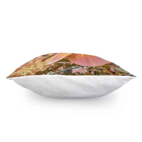 Image of Hibiscus Flower Photography Pillow Cover