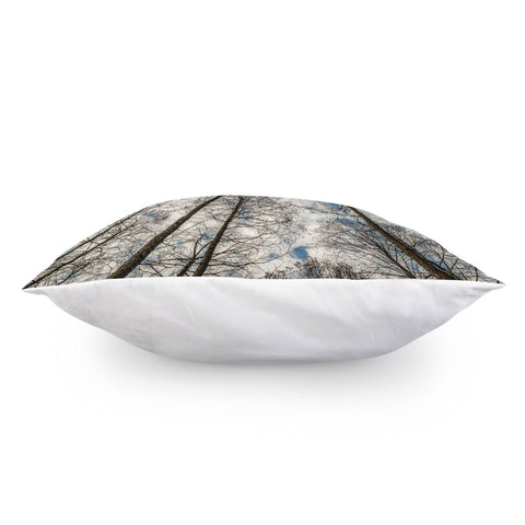 Image of Low Angle Big Trees, West Lake, Hangzhou, China Pillow Cover