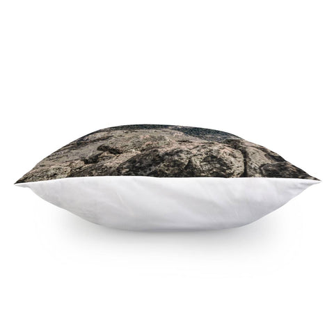 Image of El Chalten Landcape Andes Patagonian Mountains, Agentina Pillow Cover