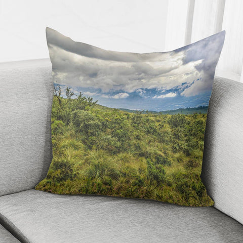 Image of Landscape Scene Cotopaxi National Park, Ecuador Pillow Cover