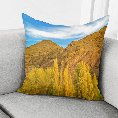 Image of El Leoncito National Park, San Juan Province, Argentina Pillow Cover