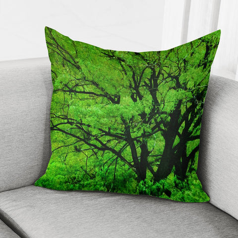 Image of Big Trees, El Leoncito National Park, San Juan Province, Argentina Pillow Cover