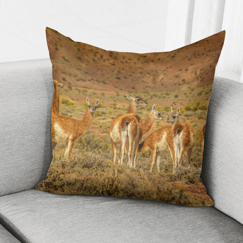 Image of Group Of Guanacos At Patagonia Landscape, Santa Cruz, Argentina Pillow Cover