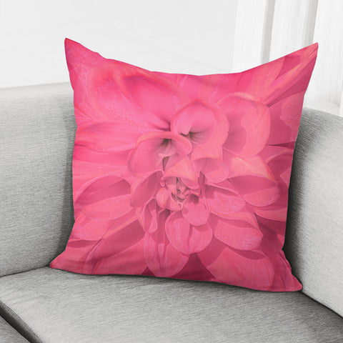 Image of Beauty Pink Rose Detail Photo Pillow Cover