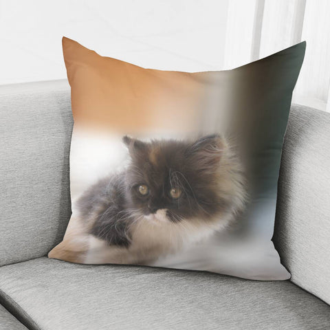 Image of Nano Baby Kitten Pillow Cover