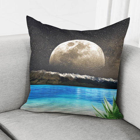 Image of Aloe Vera Moon Beach Pillow Cover