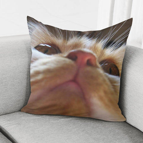 Image of Funny Cute Cat Macro Eyes Pillow Cover