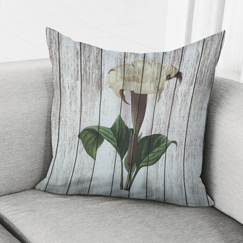 Image of Chabby Chic Datura Pillow Cover