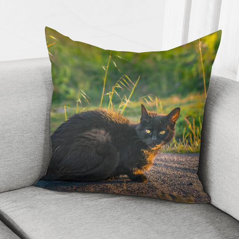 Image of Adult Black Cat At Park Pillow Cover