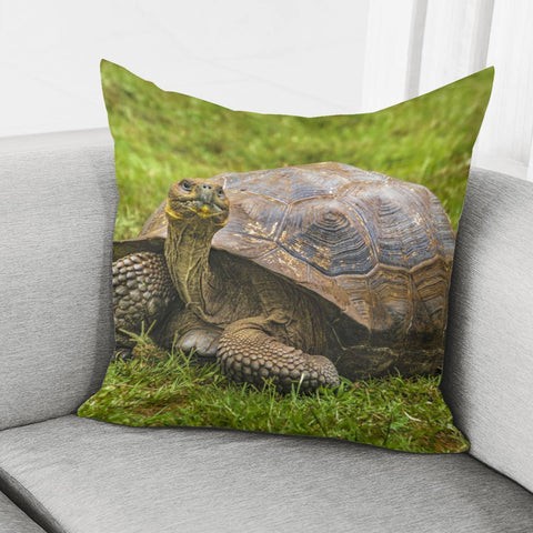 Image of Galapagos Giant Turtle, Ecuador Pillow Cover