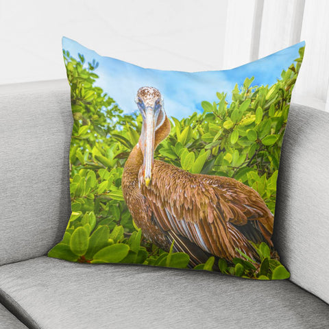 Image of Big Pelican At Tree, Galapagos, Ecuador Pillow Cover