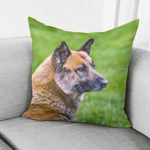 Image of German Sheepdog Portrait Pillow Cover