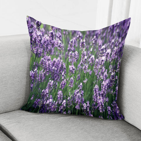 Image of Photo Fleurs Violet Pillow Cover