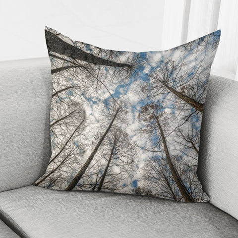 Image of Low Angle Big Trees, West Lake, Hangzhou, China Pillow Cover