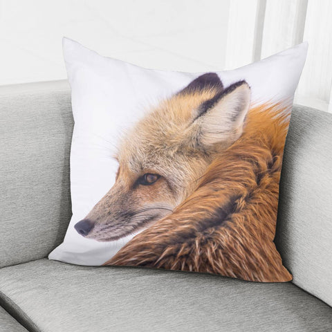 Image of Red Fox Pillow Cover