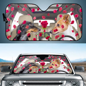 Dog Auto Sun Shades