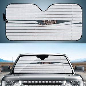 Dog Auto Sun Shades