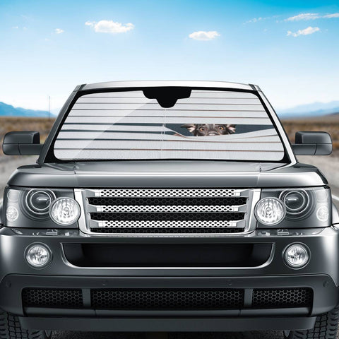 Image of Dog Auto Sun Shades