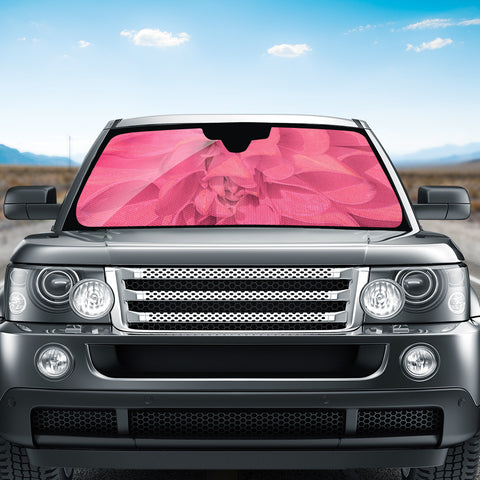 Image of Beauty Pink Rose Detail Photo Auto Sun Shades