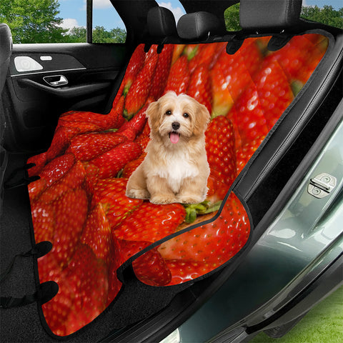 Image of Colorful Strawberries Photo Pet Seat Covers