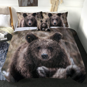 Real Forest Black Bear SWBD4419 Comforter Set