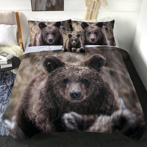 Image of Real Forest Black Bear SWBD4419 Comforter Set