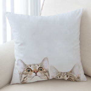 Curious Cats SWKD1502 Cushion Cover