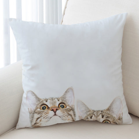 Image of Curious Cats SWKD1502 Cushion Cover