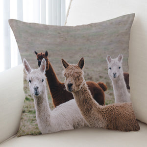 Colors of Alpacas SWKD3358 Cushion Cover