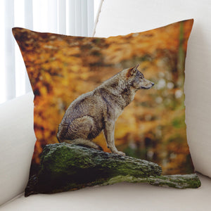 Real Wolf in Forest  SWKD3807 Cushion Cover