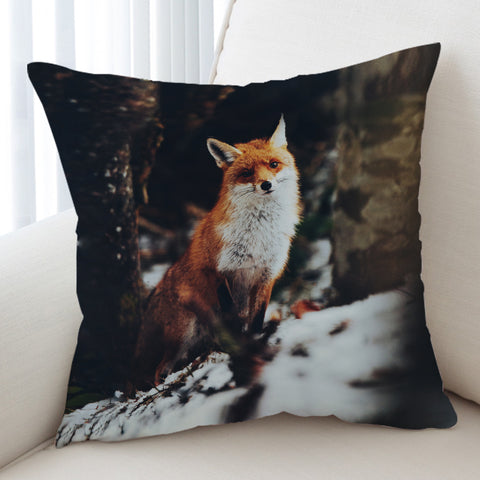 Image of Lovely Little Fox In Forest Blur SWKD5488 Cushion Cover