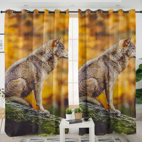 Image of Real Wolf in Forest SWKL3807 - 2 Panel Curtains