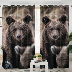 Real Forest Black Bear SWKL4419 - 2 Panel Curtains