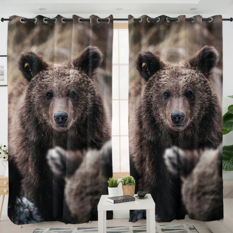 Image of Real Forest Black Bear SWKL4419 - 2 Panel Curtains