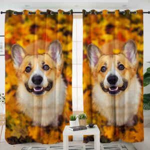 Real Corgi Focus Portrait SWKL6225 - 2 Panel Curtains