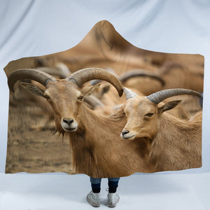 Two Brown Deers SWLM3333 Hooded Blanket