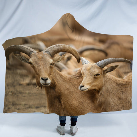 Image of Two Brown Deers SWLM3333 Hooded Blanket