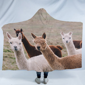 Colors of Alpacas SWLM3358 Hooded Blanket