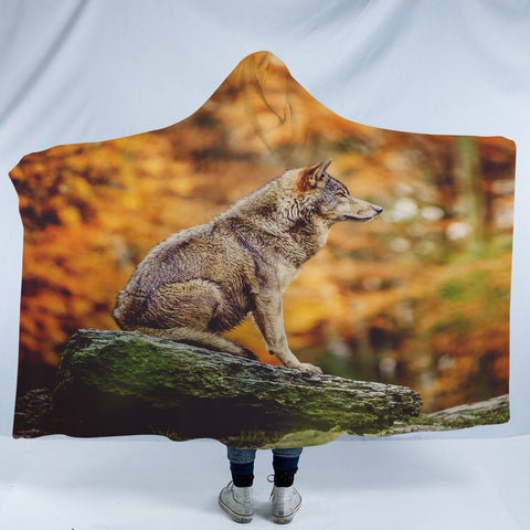 Image of Real Wolf in Forest SWLM3807 Hooded Blanket